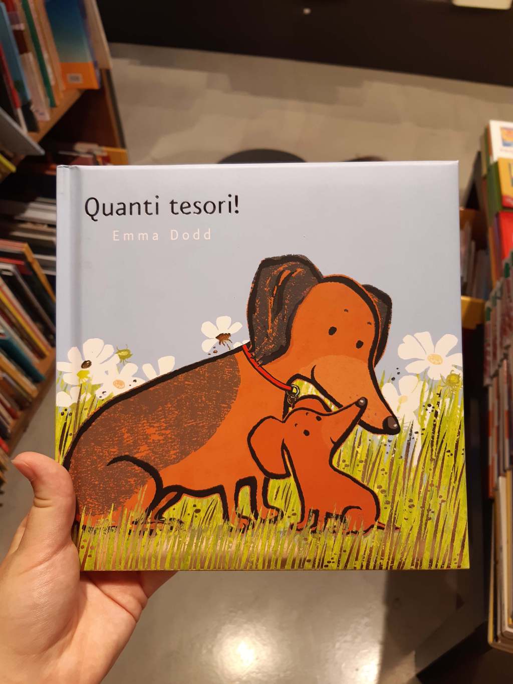 Libri per farsi le coccole: “Quanti tesori!” di Emma Dodd&nbsp;(Ippocampo)