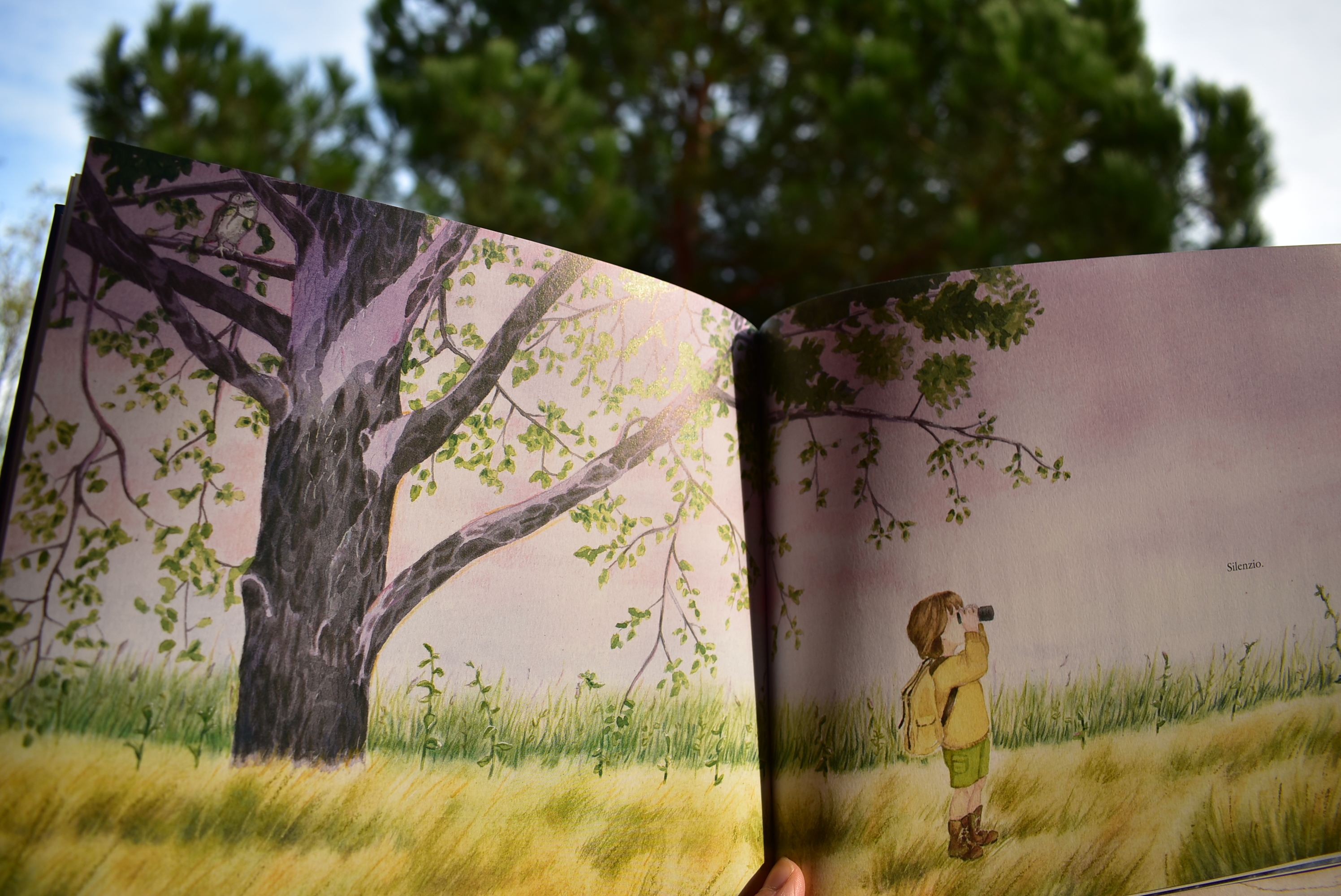 Alba di Orecchio Acerbo