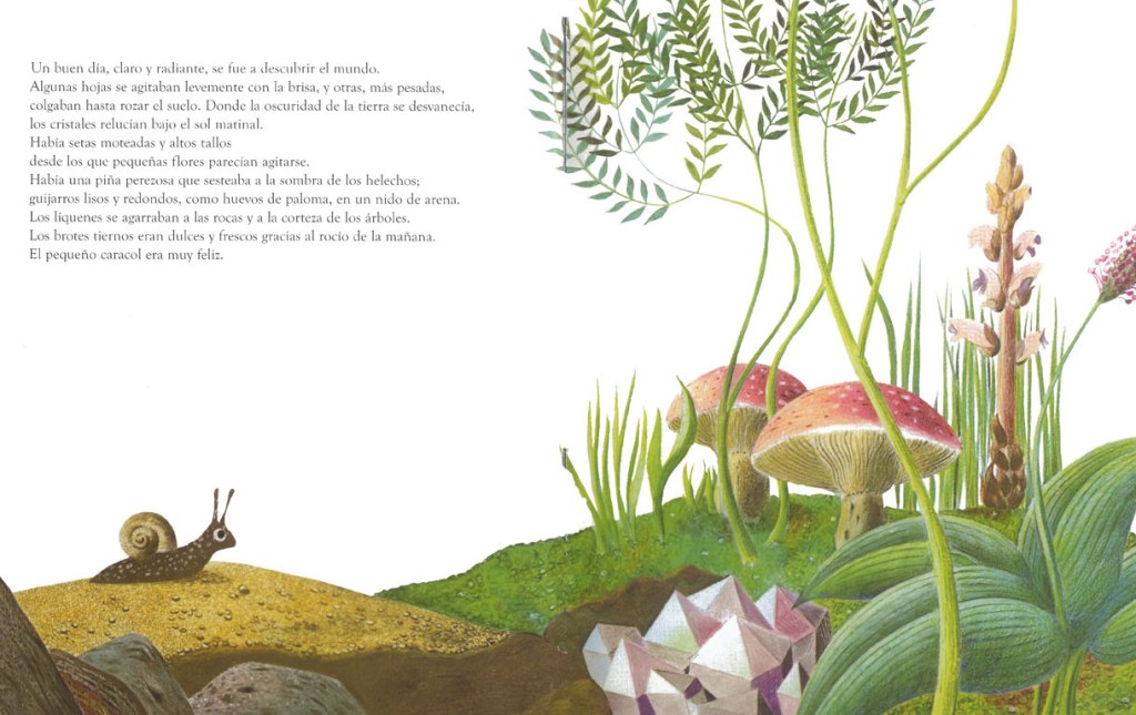 La casa più grande del mondo di Leo&nbsp;Lionni