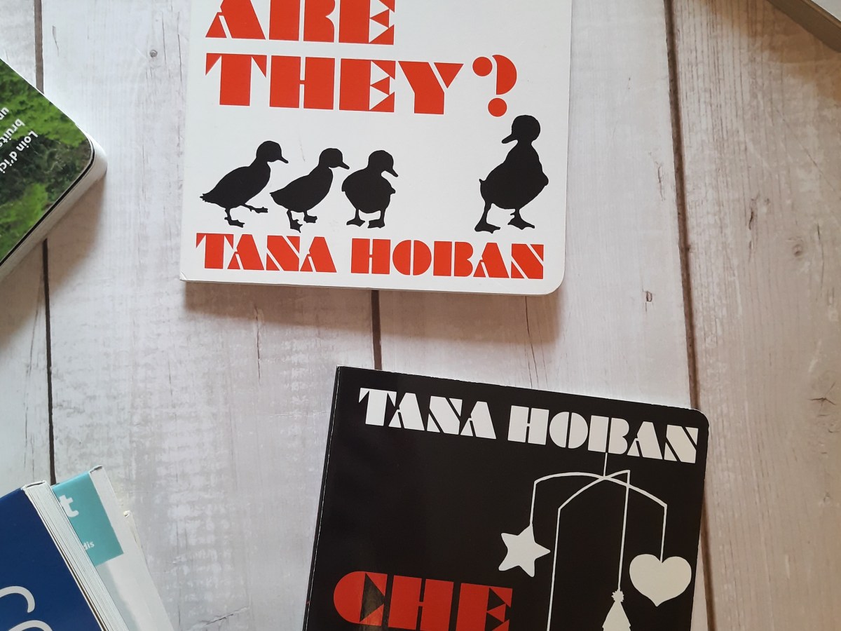 I primi libri del bebè: i libri ad alto&nbsp;contrasto