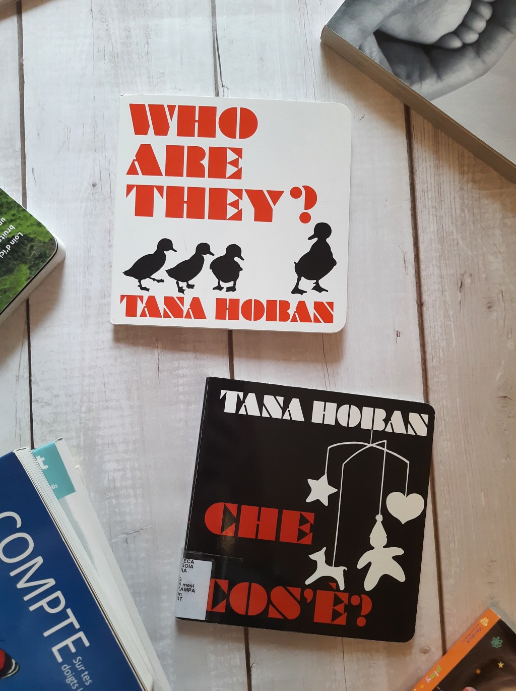 I primi libri del bebè: i libri ad alto contrasto