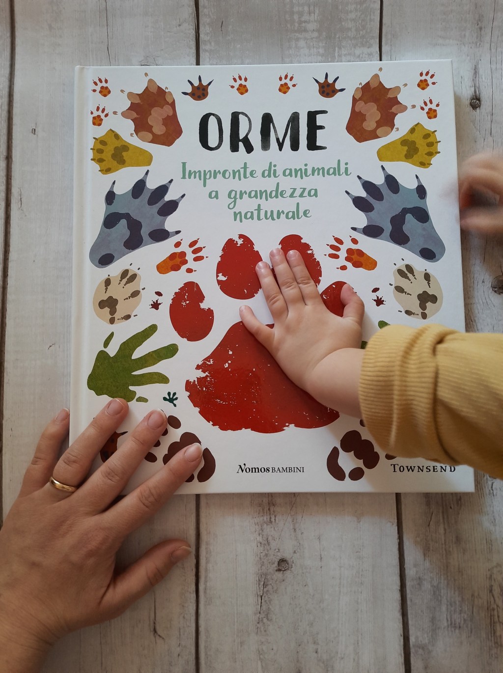 Orme: impronte di animali a grandezza naturale (Nomos bambini,&nbsp;2019)