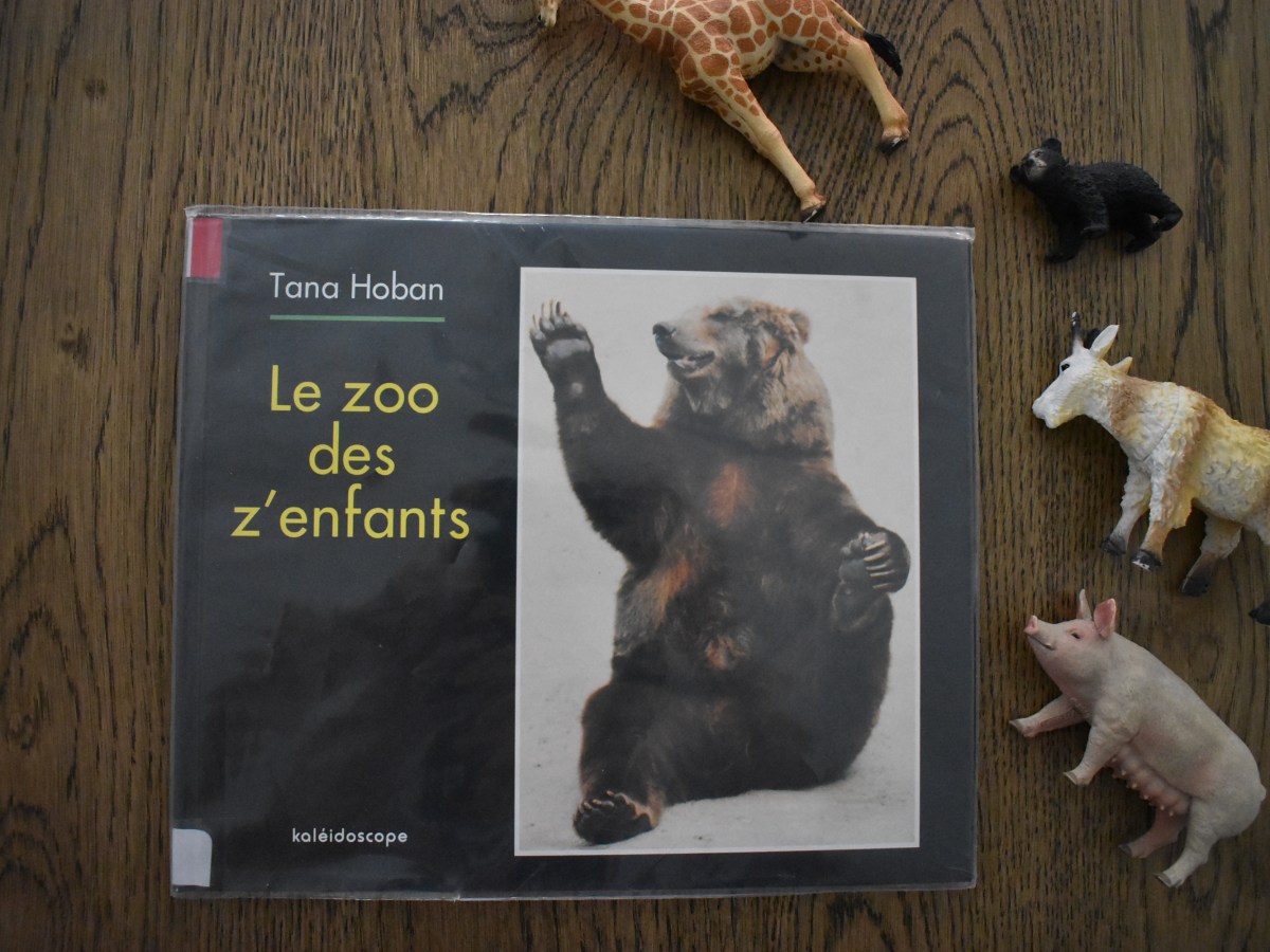Tana Hoban, A children’s zoo