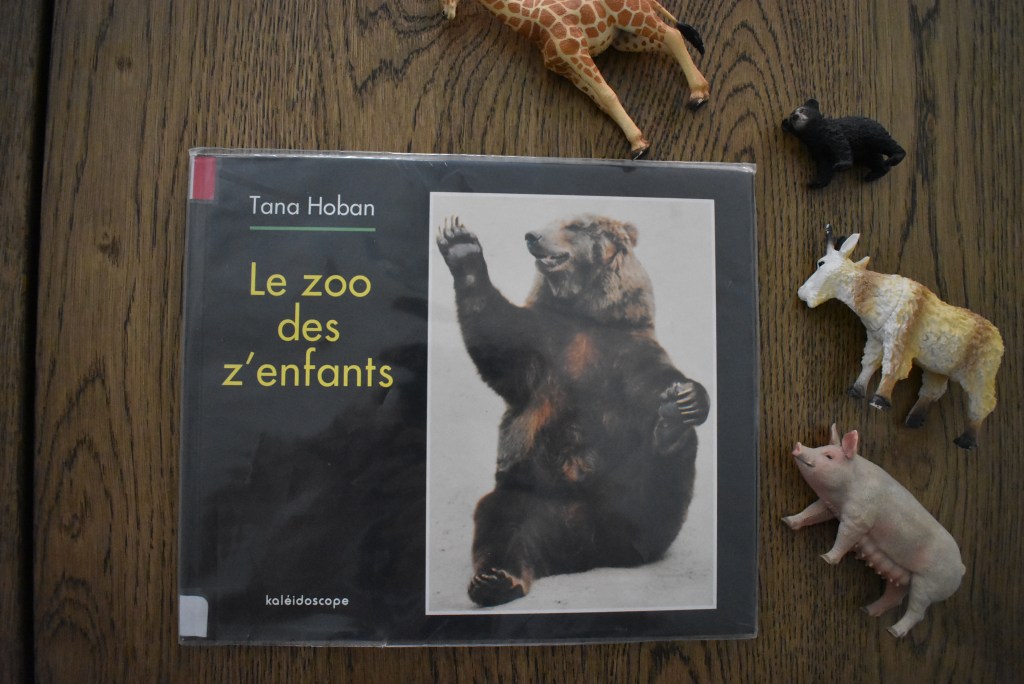 Tana Hoban, A children’s zoo