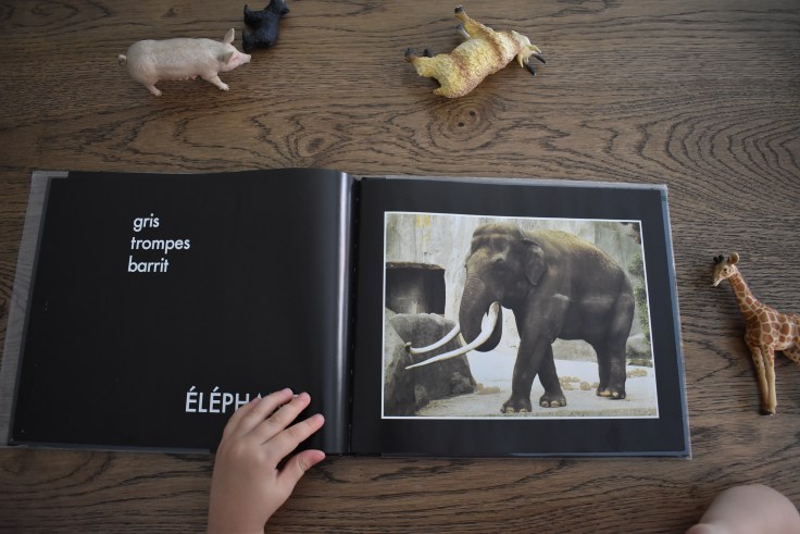 tana hoban - a children's zoo