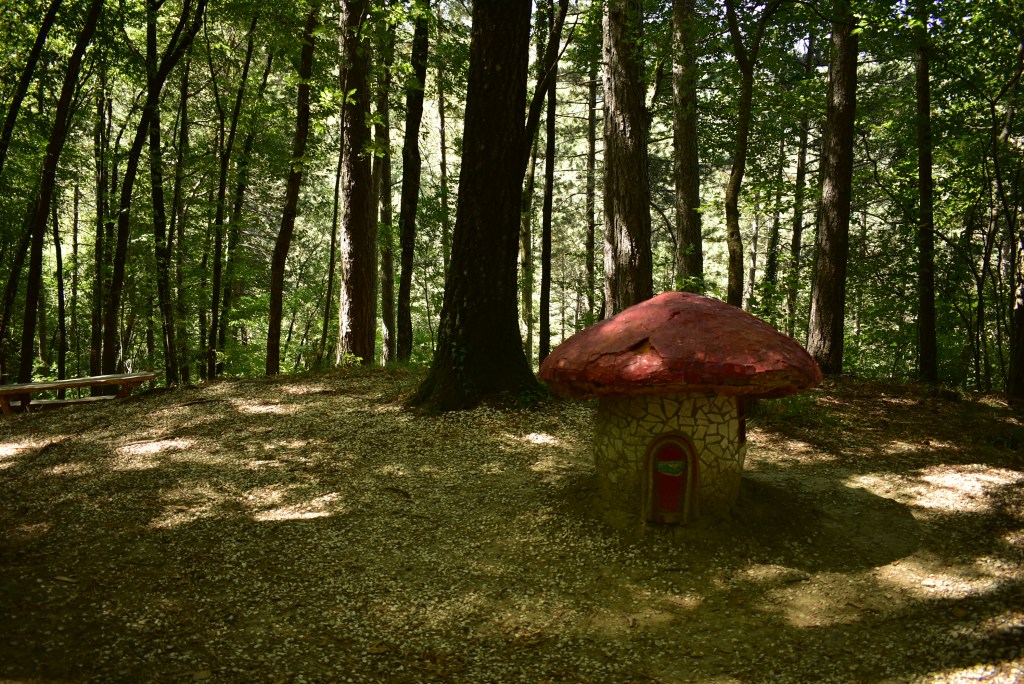 il sentiero degli gnomi