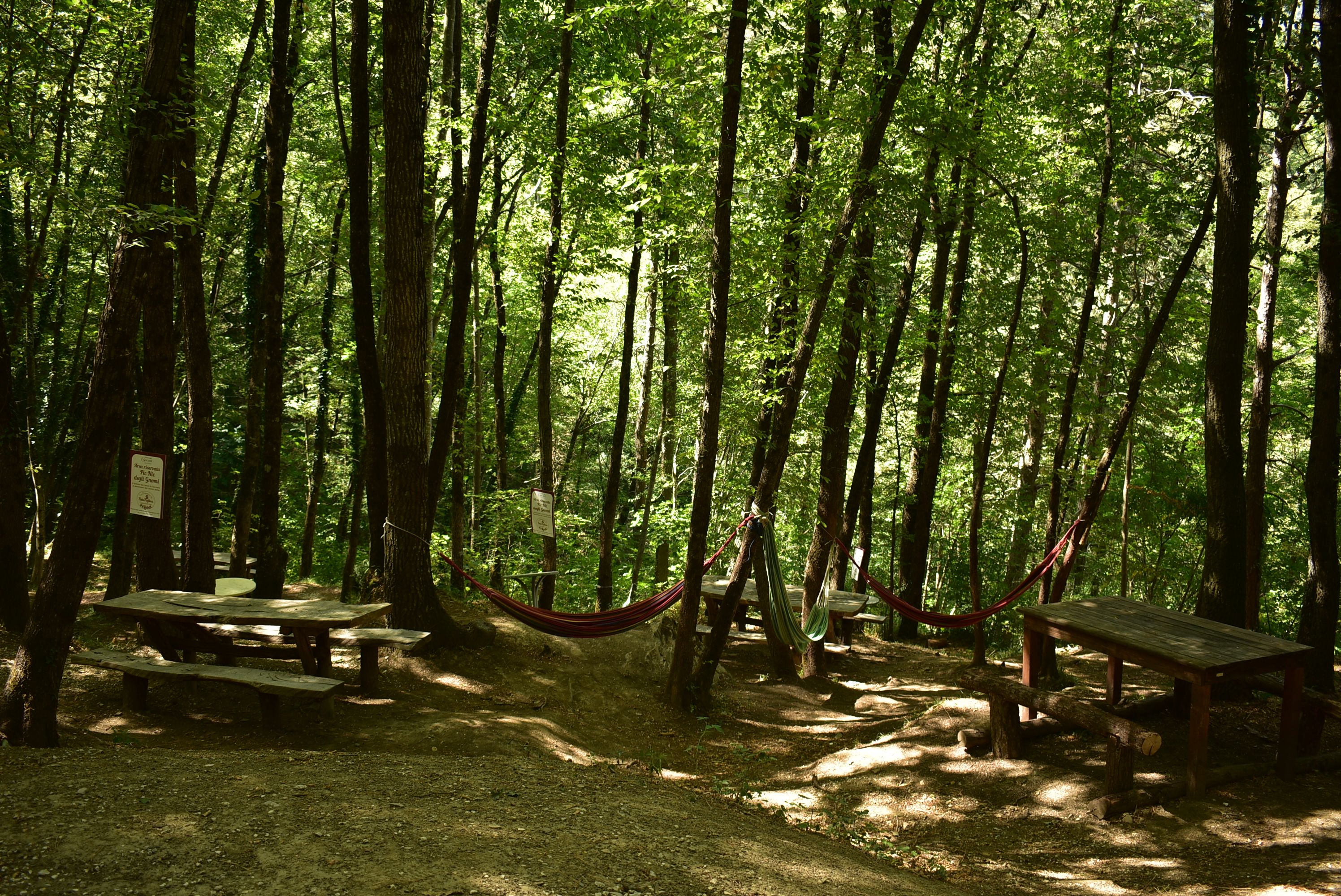 il sentiero degli gnomi