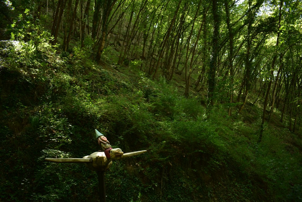 il sentiero degli gnomi