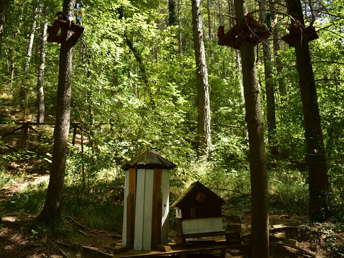Il Sentiero degli Gnomi: una gita nel bosco per tutta la&nbsp;famiglia