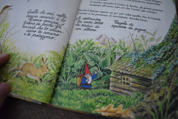 Il libro segreto degli gnomi