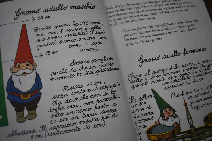 Il libro segreto degli gnomi - un identikit