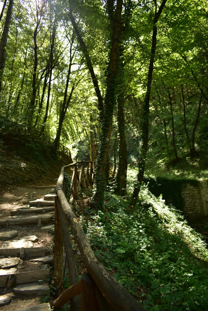 il sentiero degli gnomi: camminare nel bosco