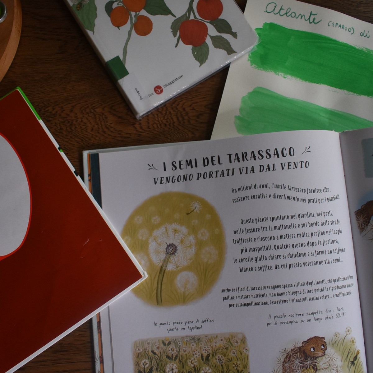 Libri sulla primavera: storie che ci raccontano la&nbsp;natura